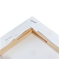 Холст на подрамнике, хлопок 100%, 1.6×60×80 см, акриловый грунт, мелкозернистый, 280 г/м²