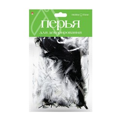 Перья для декорирования МЕГАМИКС, 6 ВИДОВ, НАБОР №3 2-405/02 Альт