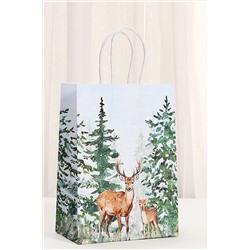 Набор крафт-пакетов подарочных новогодних 3 шт НАТАЛИ, 1218138