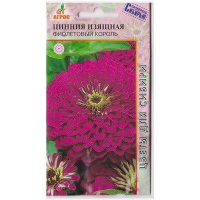 Цинния Фиолетовый Король (Код: 13143)