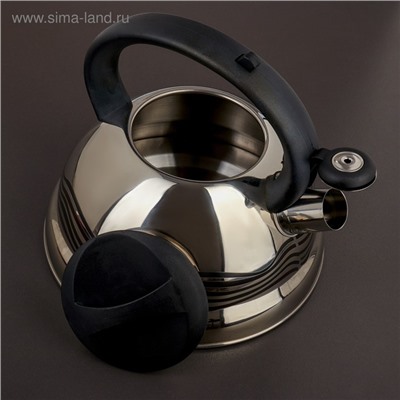 УЦЕНКА Чайник со свистком из нержавеющей стали Доляна «Волна», 2.8 л, с индикатором нагрева, фиксированная ручка