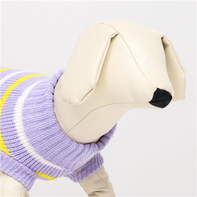 Свитер «Полоски», размер 2XL, ДС 41, ОШ 41, ОГ 36-60 см, сиреневый