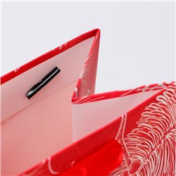 Пакет подарочный новогодний под бутылку «Перья», 13×36×10 см