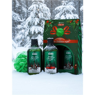 Подарочный набор новогодний: гель для душа, пена для ванны и мочалка, URAL LAB