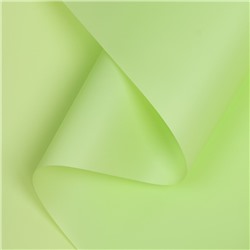 Пленка матовая для цветов и букетов, зеленая мята, 0.58×10 м