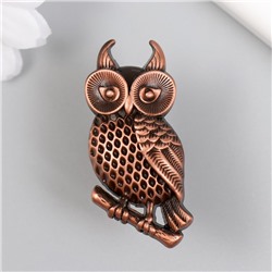 Ручка для шкатулки металл «Филин на ветке», медь, 5.2×2.2 см