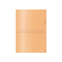 Папка-уголок пластиковая Matt Powder, A4, непрозрачный, ассорти