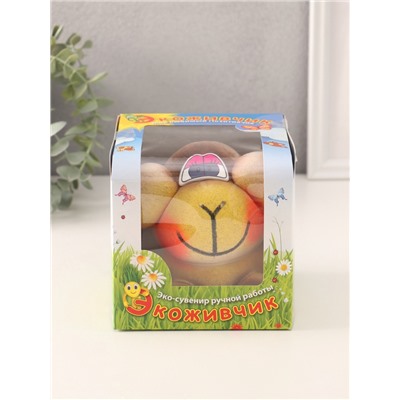 Набор для выращивания «ЭкоЖивчик. Обезьяна», фигурка растущая в подарочной упаковке