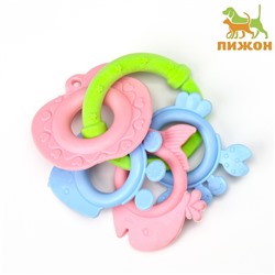 Игрушка для собак «Кольцо из морепродуктов», TPR + TPE, 12.5 см, микс цветов
