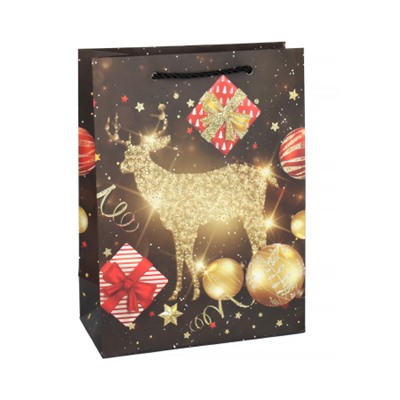 Пакет подарочный 18х24х8.5 / 362-47-S /уп 12/720/ микс Новый год