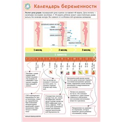 Эксмо "Календарь беременности"