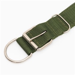 Ошейник «Комфорт», 60×4 см, ОШ 44-54 см, комбинированный, полиэстер, искусственная кожа, зелёный