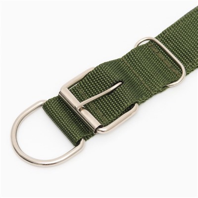 Ошейник «Комфорт», 60×4 см, ОШ 44-54 см, комбинированный, полиэстер, искусственная кожа, зелёный