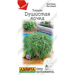 Тимьян Душистая Кочка Аэлита