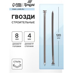 Гвозди ТУНДРА, строительные, ГОСТ 4028-63, без покрытия, 4×120 мм, фасовка 1 кг