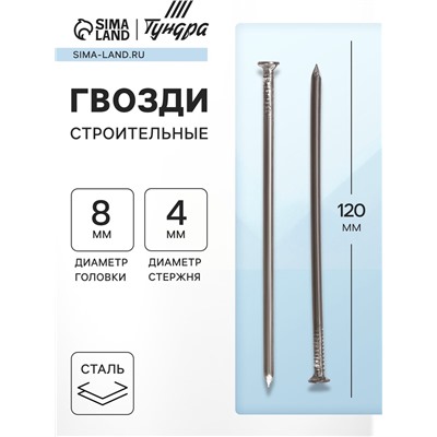 Гвозди ТУНДРА, строительные, ГОСТ 4028-63, без покрытия, 4×120 мм, фасовка 1 кг