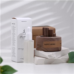 Набор деревянный диффузор Hantt Aroma, мох, с эфирным маслом 10 мл, в коробке