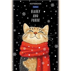 Блокнот А5 40л клетка на склейке "Котэ" жесткая подложка (093197) Хатбер