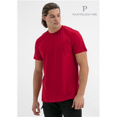 MF-913 (Футболка мужская, PanteLemone )