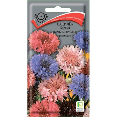 Василек Карлик смесь пастельных оттенков (П)