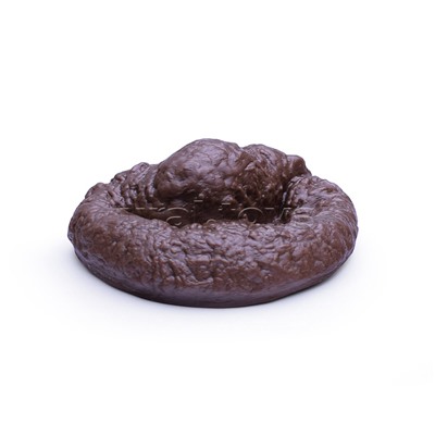 Игра-розыгрыш "Какашка"
