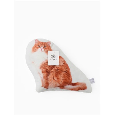 Подушка «Этель» Gingerl cat, 40×33 см, 100% п/э, велюр