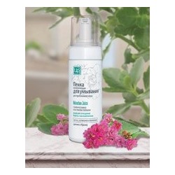 Пенка для умывания для проблемной кожи Kalanchoe Juice