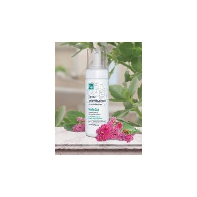 Пенка для умывания для проблемной кожи Kalanchoe Juice