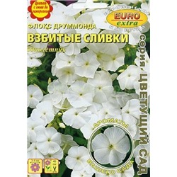 Флокс Взбитые сливки (Аэлита)