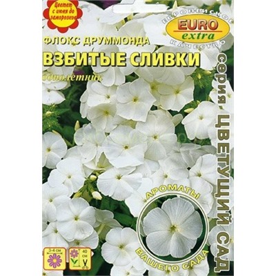 Флокс Взбитые сливки (Аэлита)