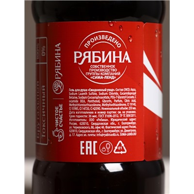 Подарочный набор «Яркой жизни», гель для душа виски и кола, 2×250 мл, камни для виски, Чистое счастье