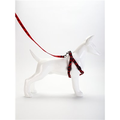 Шлейка с поводком «Большая лапа», ширина 1.5 см, поводок 120 см, шлейка 28-42 см, красная, чёрная