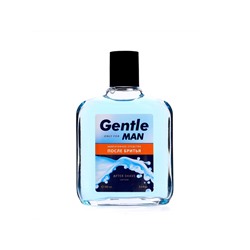 Подарочный набор косметики Gentle: пена для бритья, 200 мл + лосьон после бритья, 100 мл