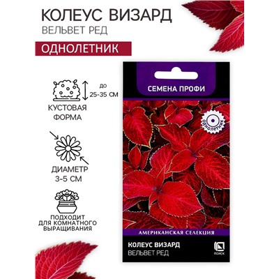 Семена цветов Колеус Визард Вельвет ред, 10шт