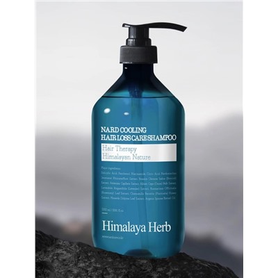 BOUQUET GARNI NARD - ШАМПУНЬ ДЛЯ ВОЛОС УКРЕПЛЯЮЩИЙ ОХЛАЖДАЮЩИЙ COOLING HAIR LOSS CARE SHAMPOO, 500 МЛ