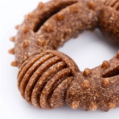 Игрушка для собак «Кольцо с шипами», TPR+Бамбук, 8 см