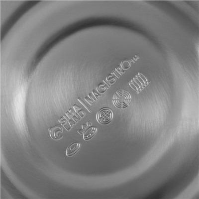 УЦЕНКА Чайник со свистком 3 л Magistro, Glow, серебро, индукция, ручка soft-touch=