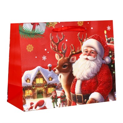 Пакет подарочный Новый год 23х18х9 / 1655-1 /уп 12/720/210г/м2