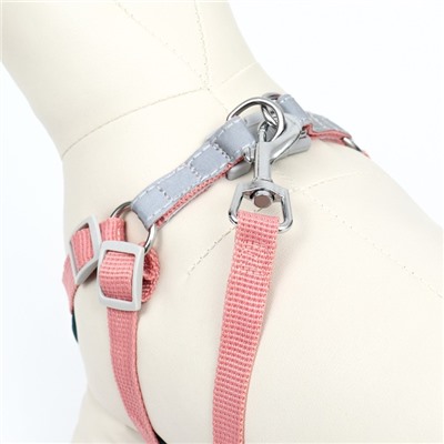 Комплект Sport+, XS, поводок 120×1.5 см, ОШ 37-39 см, ОГ 41-46 см, вес животного 4-6 кг, розовый