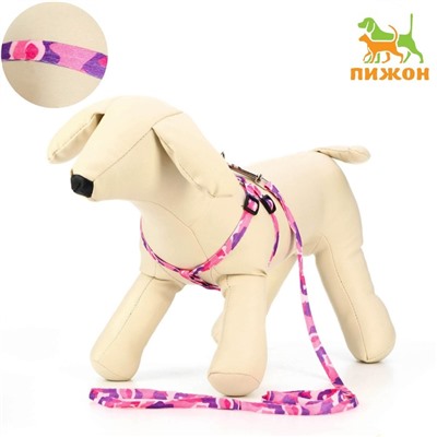 Комплект «Камуфляж», капрон, ширина 1 см, шлейка 21-35 см, поводок 120 см, капрон, розово-фиолетовый