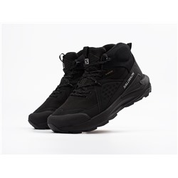 Ботинки Salomon ELIXIR MID GTX
