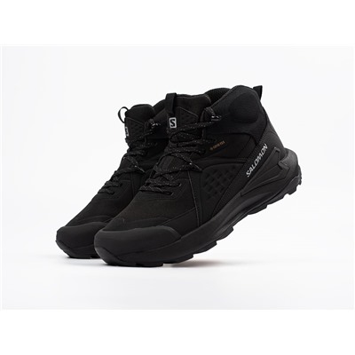 Ботинки Salomon ELIXIR MID GTX