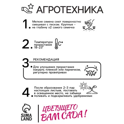 Семена цветов Катарантус "Теплая волна", пеперминт, 5 шт