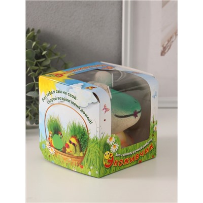 УЦЕНКА Растущий подарок травка Экоживчик «Лягушка новинка» МИКС