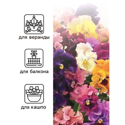 Семена Виола "Махровое кружево", ц/п,  триколор, F1, 4 шт