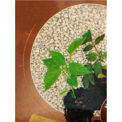 Удобрение минеральное для рассады и саженцев, Dr.Grunt, 120 г