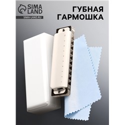 Губная гармошка Music Life T008L C диатоническая, 10 отверстий, с футляром
