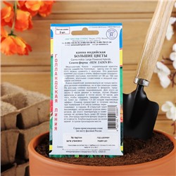 Семена цветов Канна индийская «Большие цветы», 3 шт.