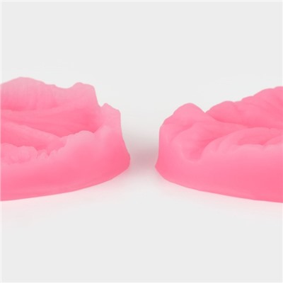 Молд кондитерский «Лист тропических растений», силикон, 2 шт., 6.5×4×2.3 см, МИКС