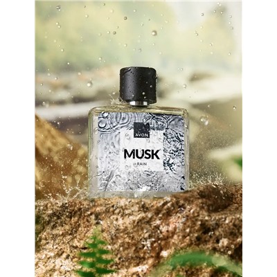 Туалетная вода для мужчин Musk Rain